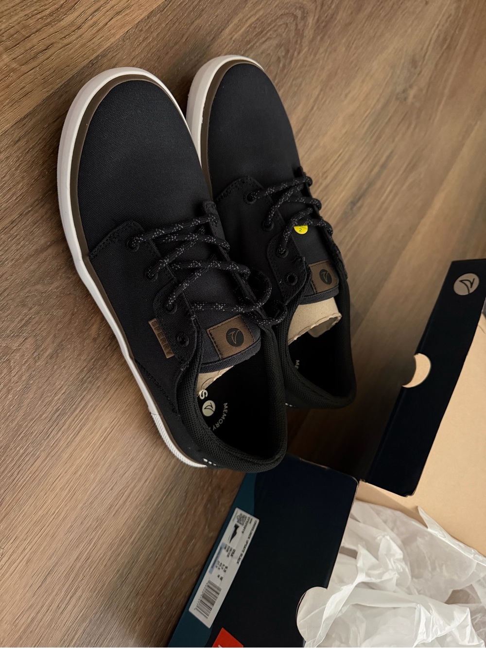 Sperry Men's Black Canvas Low-Top Lace-Up Sneakers - Picture 5 of 6